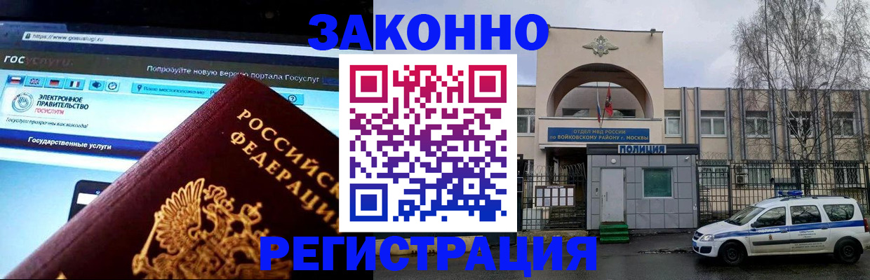 временная регистрация поиск в Камчатском крае